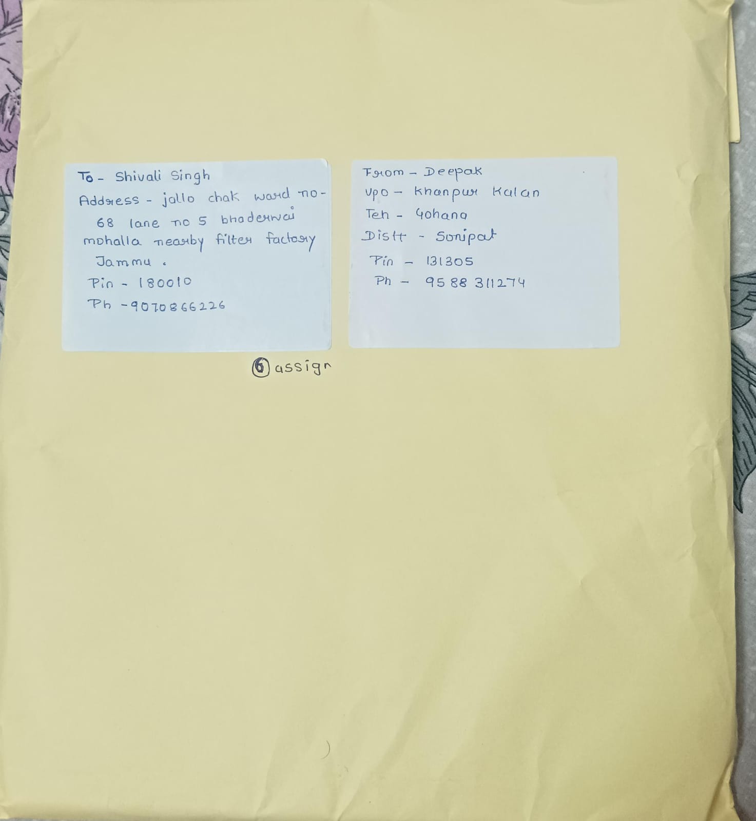 Student Support Zone Dispatch Proof 46